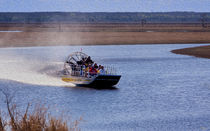 Airboat Rides von John Bailey