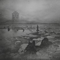 Countess of Wetlands by Dariusz Klimczak