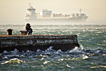 In the windstorm von Giorgio  Perich