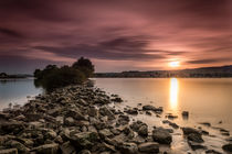 Geheimnisvolle Rhein-Insel von Erhard Hess