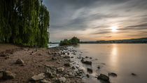 Geheimnisvolle Rhein-Insel 80 by Erhard Hess