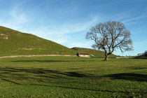 Pasture Land at Thorpe, Derbyshire von Rod Johnson