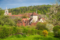 Bebenhausen Naturpark Schönbuch im Frühling von Matthias Hauser