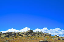 Top of Mount Kosciuszko #2 by Tim Leavy