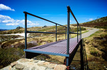 Mountain Walkway by Tim Leavy