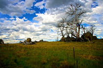 Australian Landscape by Tim Leavy