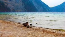 Königsee von M. Ziehr