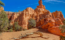 Timeless Rock Formations by John Bailey