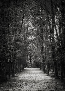 The Park von Antonio Jorge Nunes