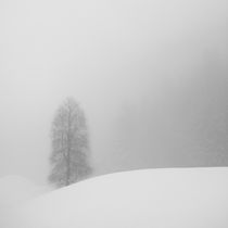 In The Mist by Antonio Jorge Nunes