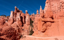 Walking Among The Hoodoos von John Bailey