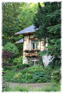 House in the woods von mario-s