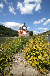 Pflaz bei Kaub am Rhein von buellom