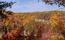 Colors Across Cloudland Canyon by John Bailey