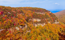 Colorful Cloudland Canyon In The Fall von John Bailey