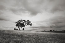 Rural Landscape #1 by Antonio Jorge Nunes