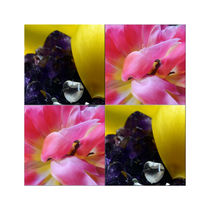 Viererbild "Kristall und Blüten" pp by lisa-glueck