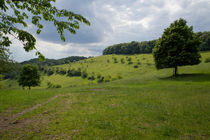 Kaiserstuhl impressions von Jörg Sobottka