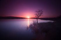 Broad Pool North Gower by Leighton Collins