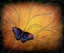 Butterfly Pause V2 von Peter  Awax