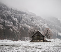 The Old Barn by Antonio Jorge Nunes