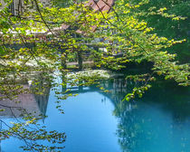 Ansicht auf den Blautopf von Michael Naegele