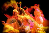 Flamenco 3 by Gabi Hampe Brigitte Dürr