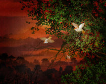 Red Dawn Sparrows von Peter  Awax