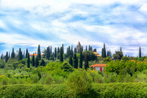 Toskanische Landschaft in Sirmione von Gina Koch