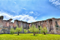 Grotte des Catull in Sirmione am Gardasee von Gina Koch