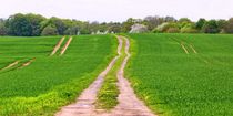 Frühling in Ostholstein by gscheffbuch