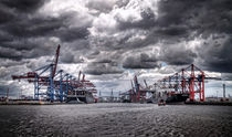 Waltershofer Hafen III von photoart-hartmann