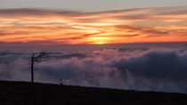 End of Day von Antonio Jorge Nunes