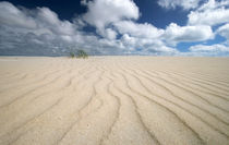 Amrum Sandstrand von Peter Rohde