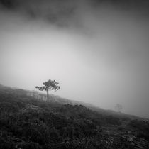 In the mist #2 von Antonio Jorge Nunes