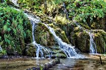 Waterfall in the National Park of Plitvice Lakes in Croatia by Helmut Schneller