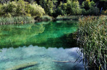 Romantic pond von Helmut Schneller