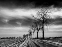 Winter Landscape von Antonio Jorge Nunes