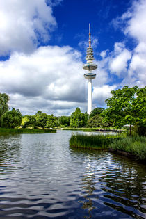 Planten un Blomen Hamburg by Dennis Stracke