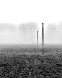 Sticks Ashbridges Bay Toronto Canada by Brian Carson