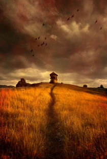 Lonely house on the hill von Jarek Blaminsky