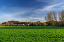 Across The Trent Washlands To Stapenhill von Rod Johnson