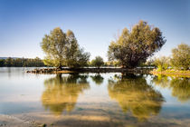 Einsame Rheinbucht by Erhard Hess