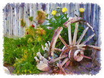 Garden Wheel von Stephen Lawrence Mitchell