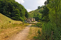 Southern End of Wolfscote Dale by Rod Johnson