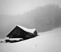 The House in the Mountain von Antonio Jorge Nunes