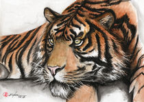 tiger von Rodrigo Chaem