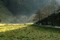 Sunbeams and Mist, Wolfscote Dale by Rod Johnson