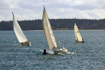 Close Race von Louise Heusinkveld