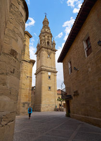 Detached tower of the cathedral of Santo Domingo de la Calzada von Louise Heusinkveld